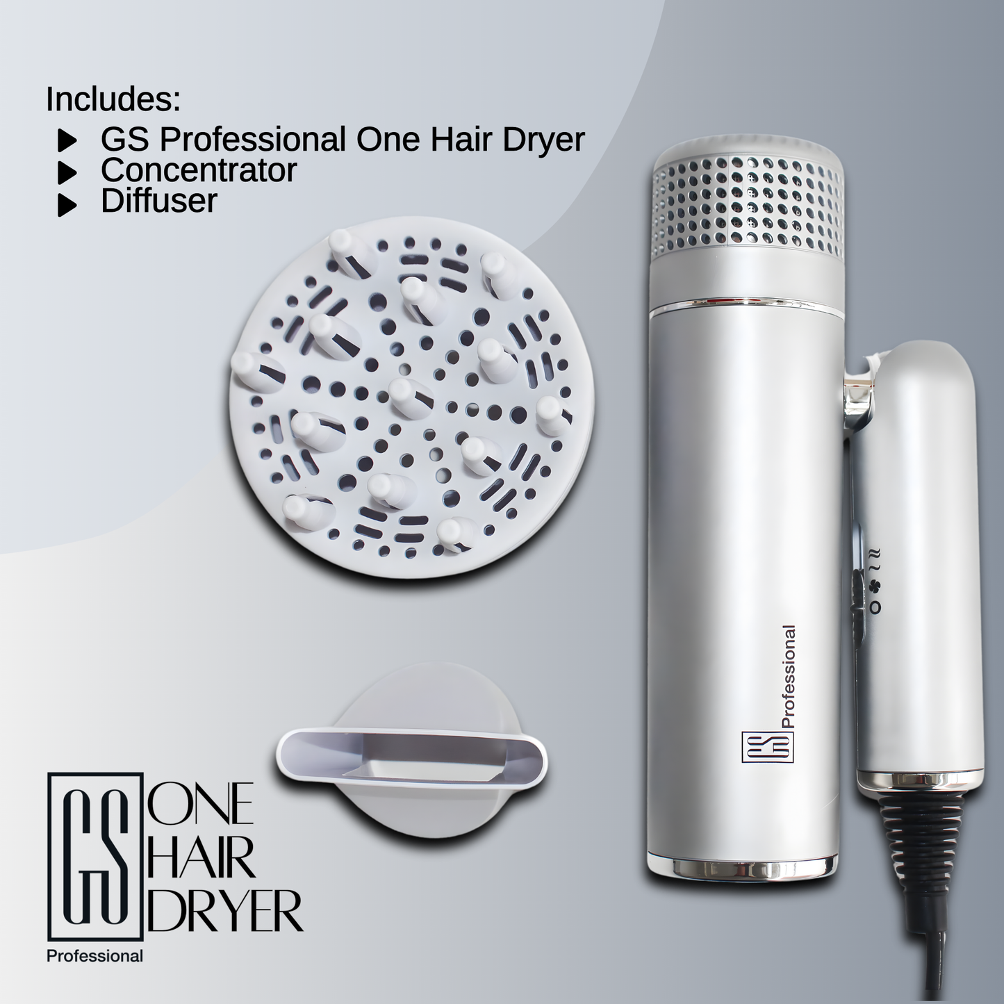 GS Professional One IQ Dryer