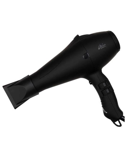 Sèche-cheveux ionique professionnel Aria