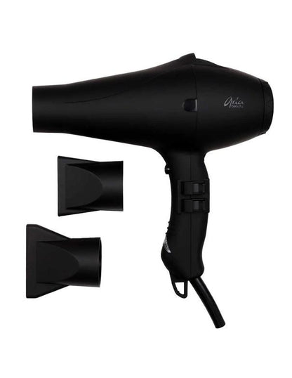 Sèche-cheveux ionique professionnel Aria