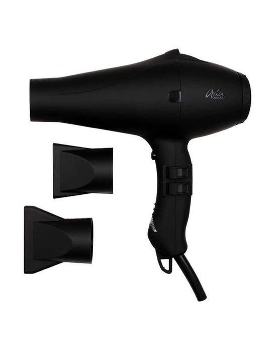 Sèche-cheveux ionique professionnel Aria