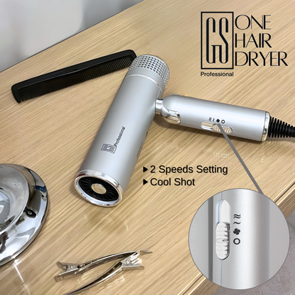 GS Professional One IQ Dryer