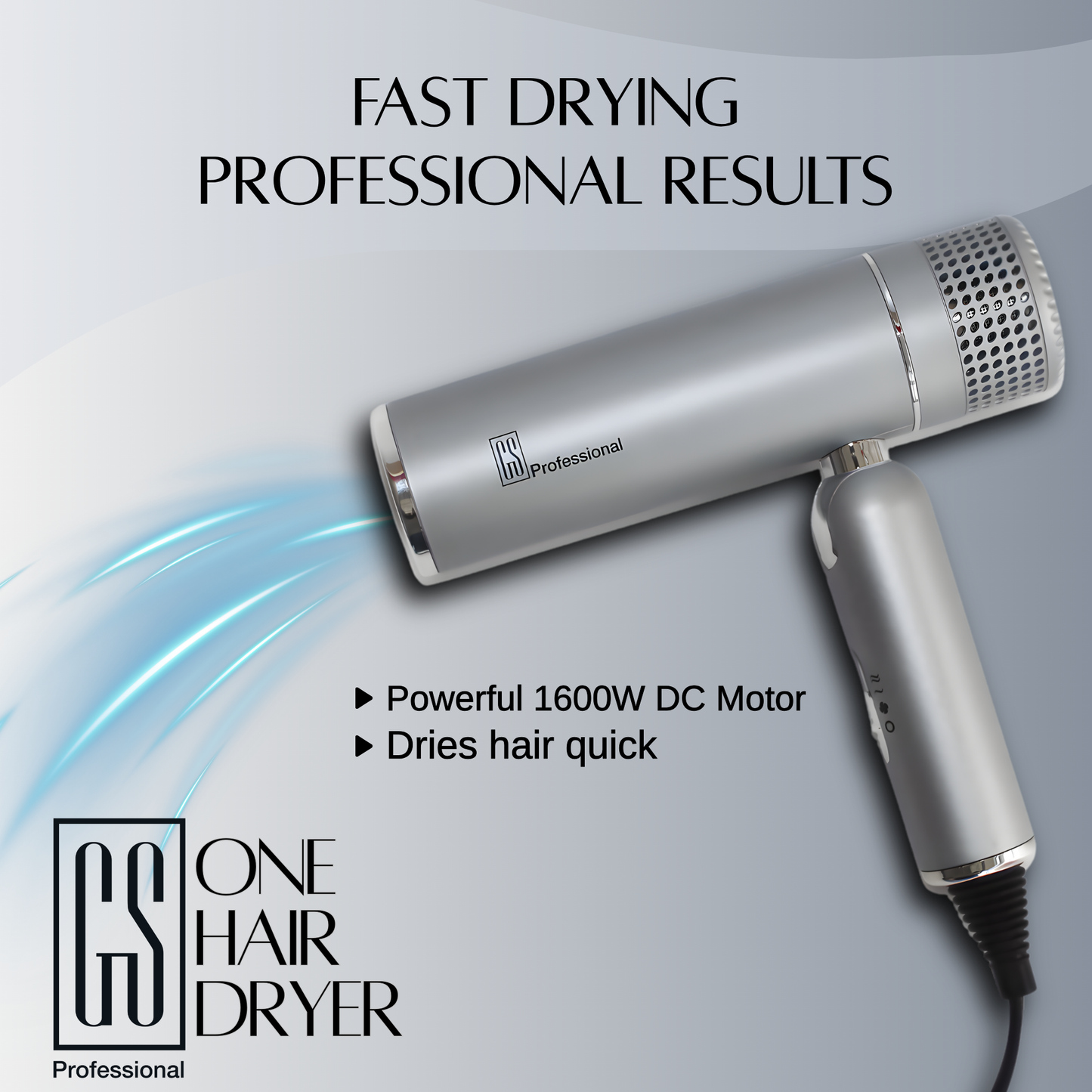 GS Professional One IQ Dryer