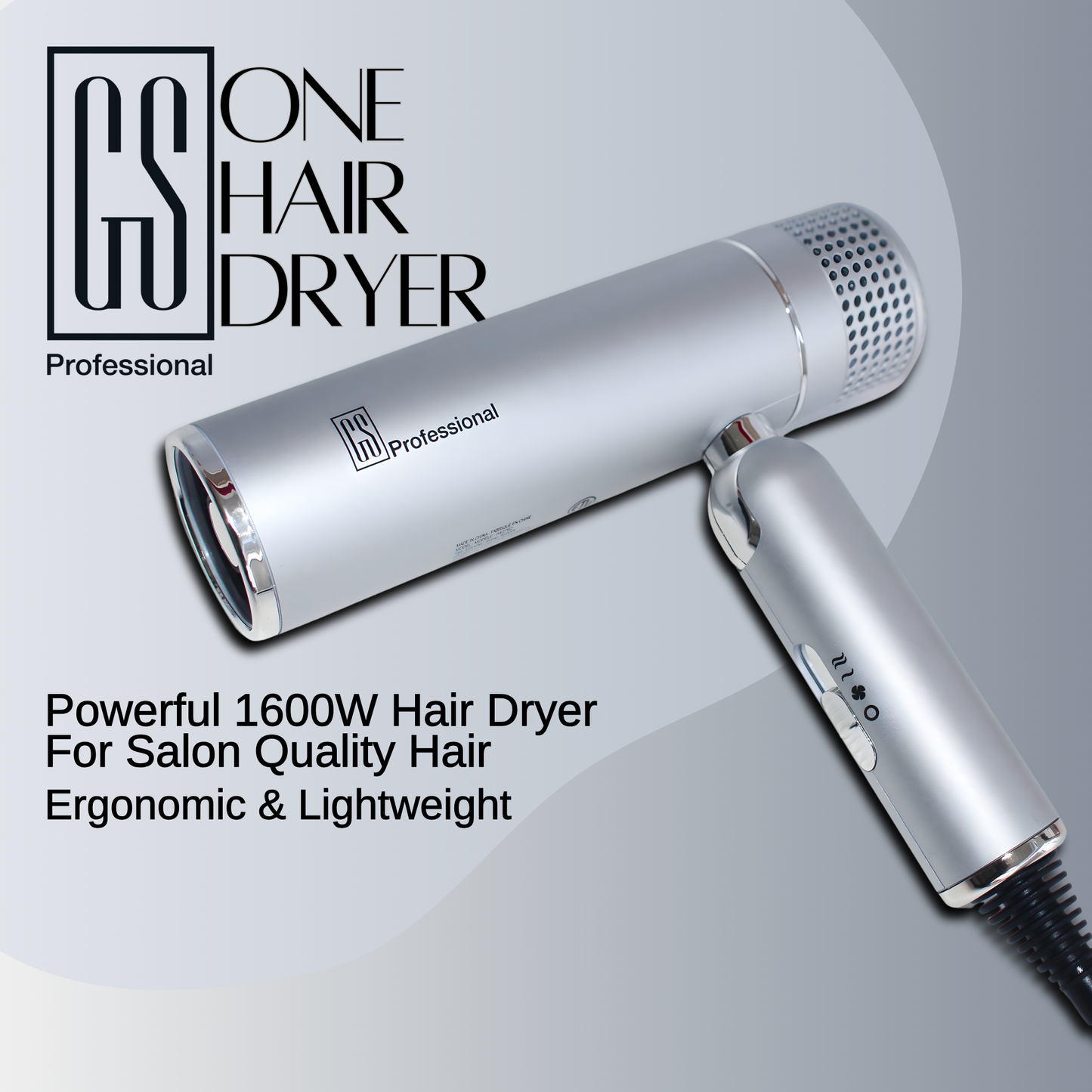 GS Professional One IQ Dryer